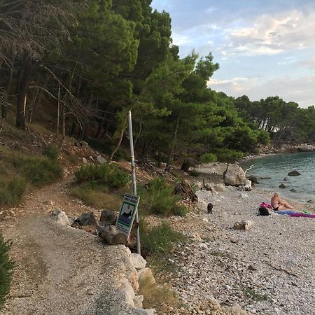 Blue Shell Trogir Apartment Phòng bức ảnh